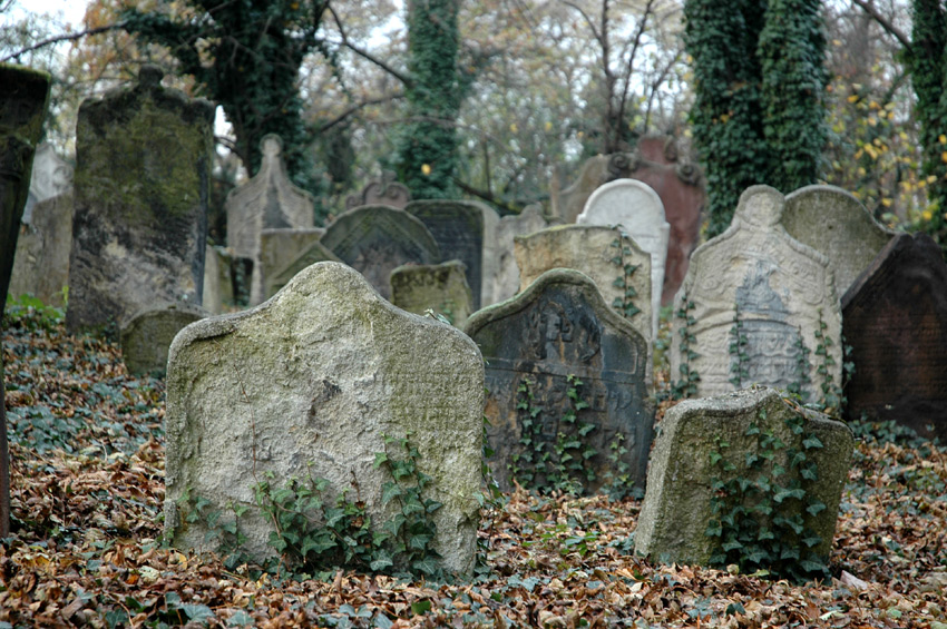 Koln (star hbitov)