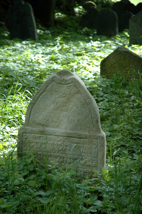 Neustupov