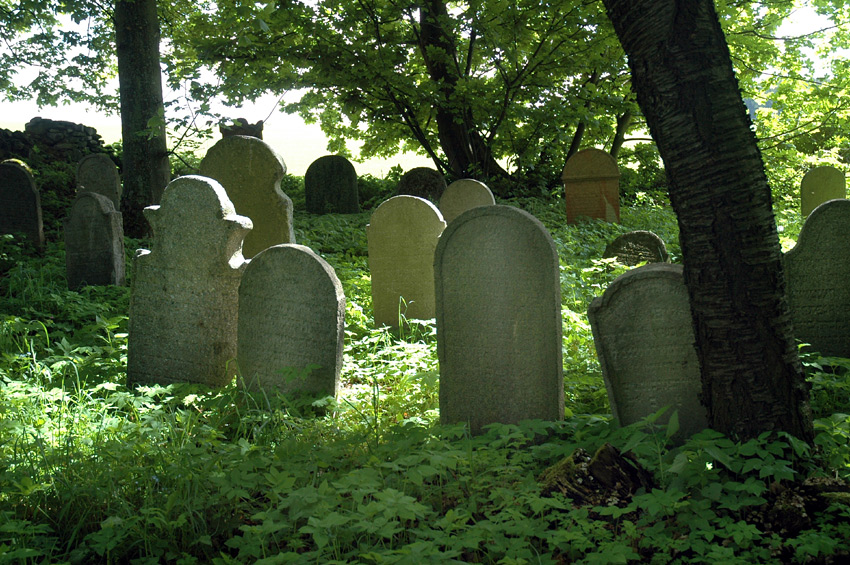 Neustupov