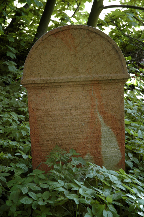 Neustupov