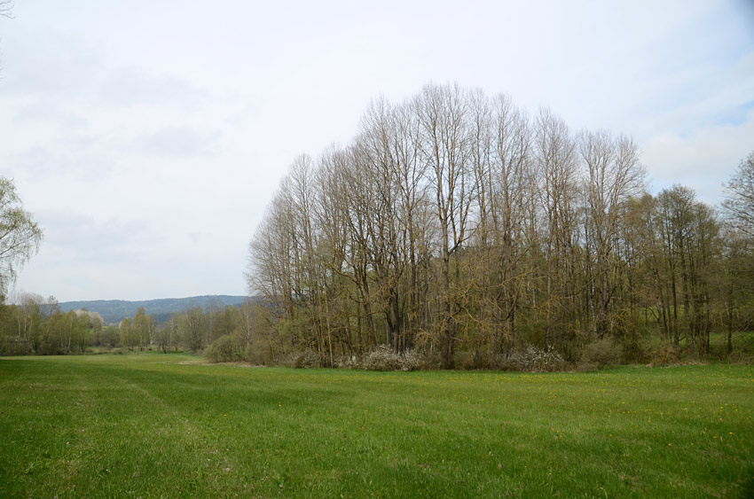 Pořejov
