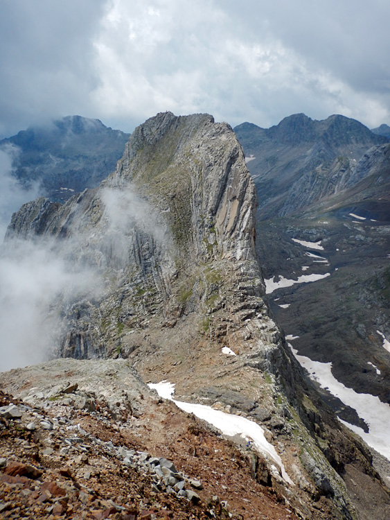 Pico Posets