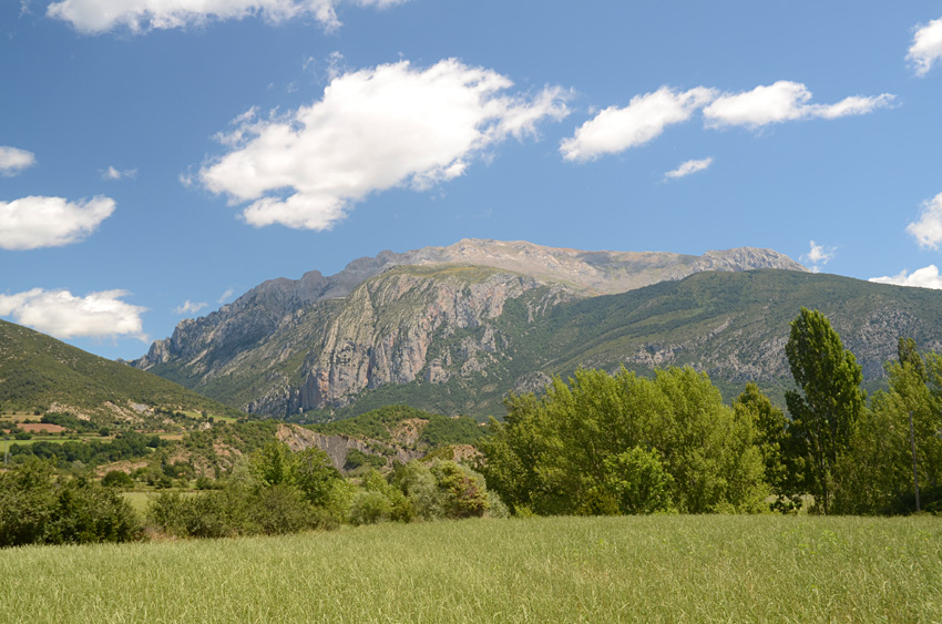 El Turbn