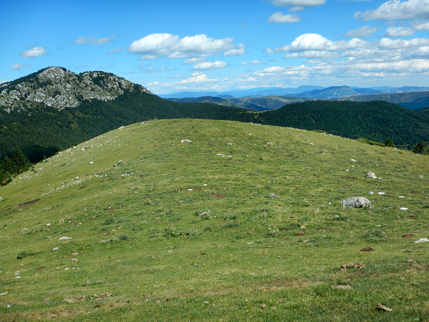 El Turbn