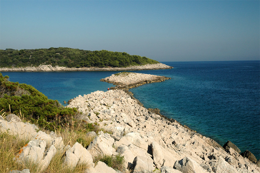 Korula