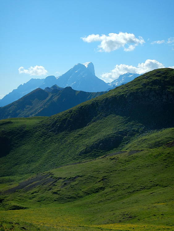 Marmolada