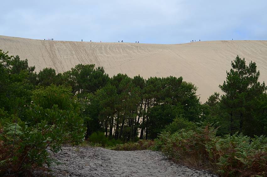 Dune du Pilat