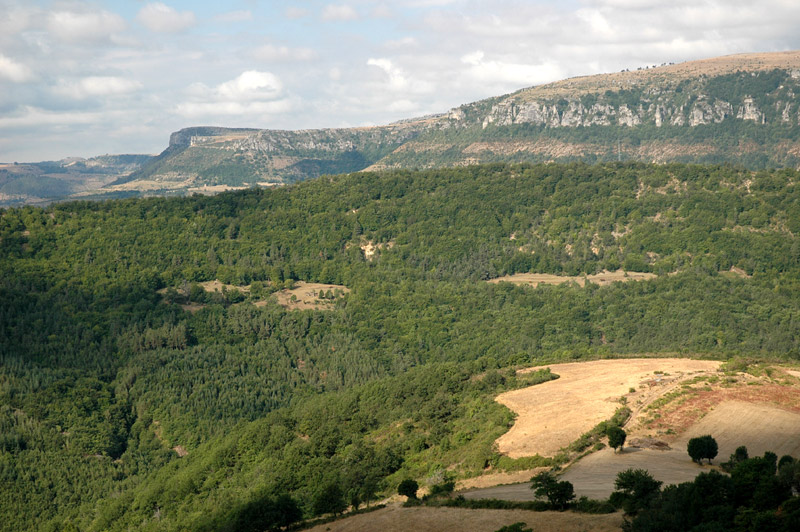 Corniche des Cvennes