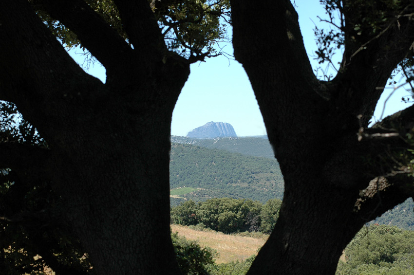 Dolmen de Las Colombinos