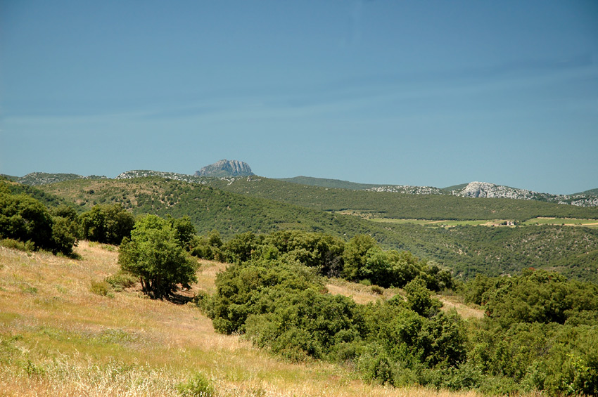 Dolmen de Las Colombinos