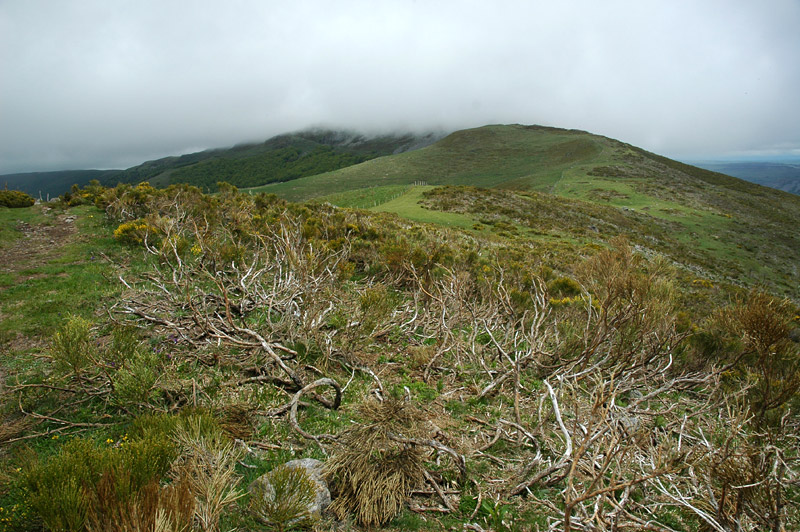 Monts du Cantal