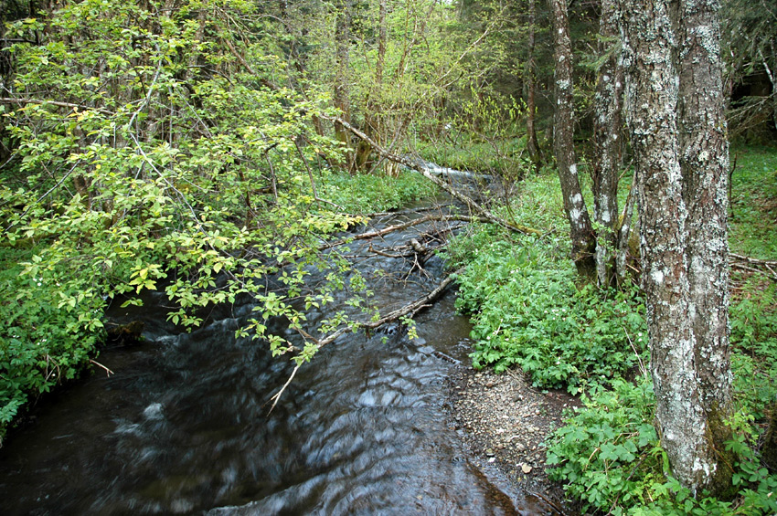 Cascade-du-Marilhou