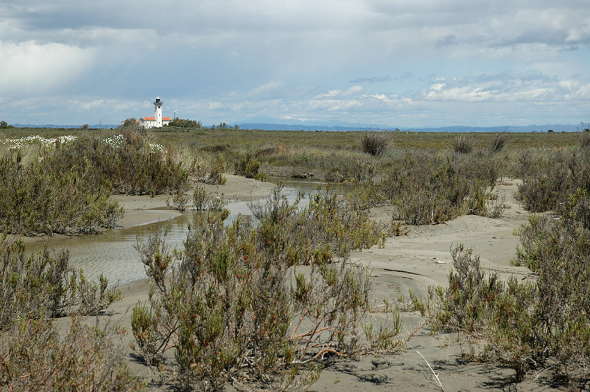 Camargue