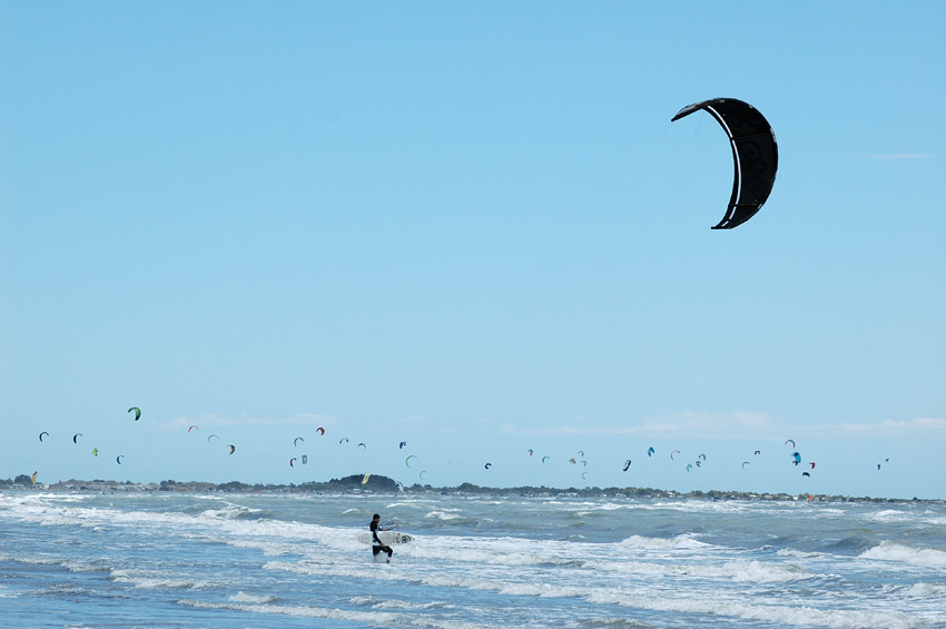 Camargue