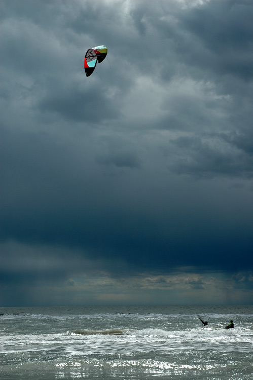 Camargue