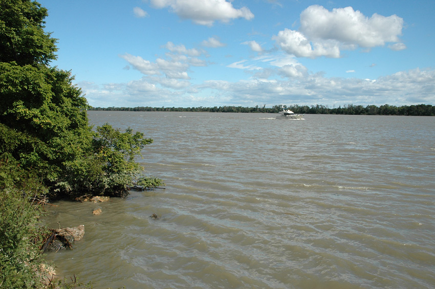 Camargue