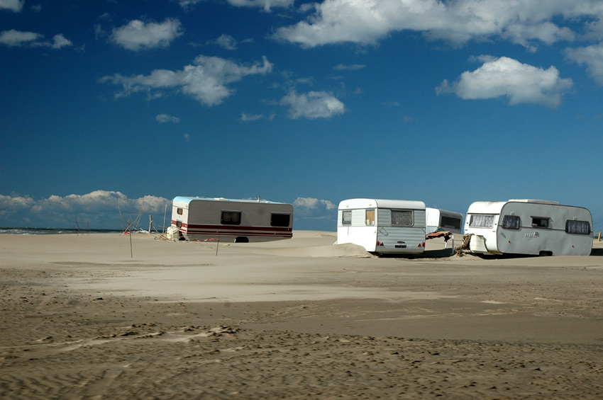 Camargue