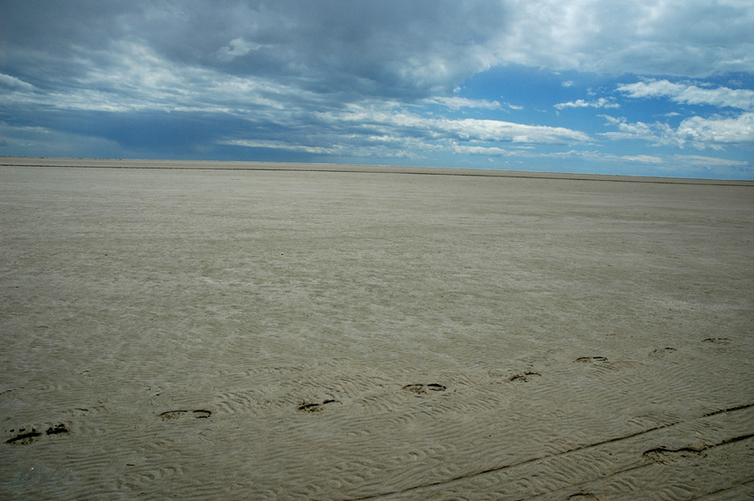 Camargue