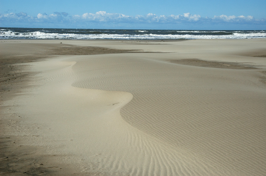 Camargue