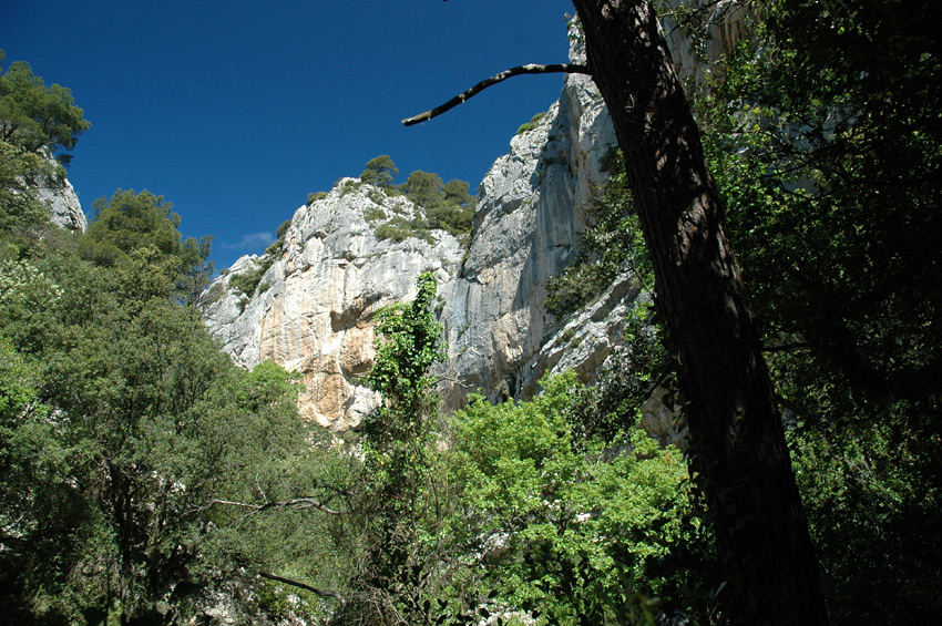 Dentelles de Montmirail
