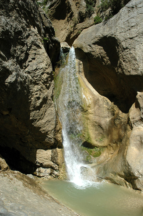 Dentelles de Montmirail