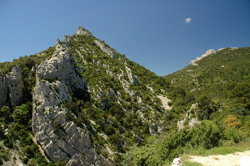 Dentelles de Montmirail