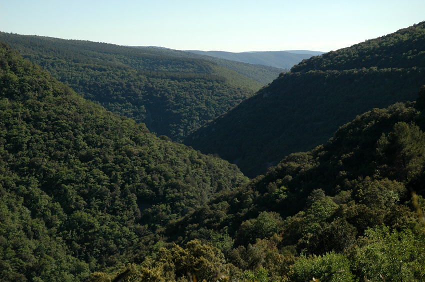 Gorges-de-la-Nesque