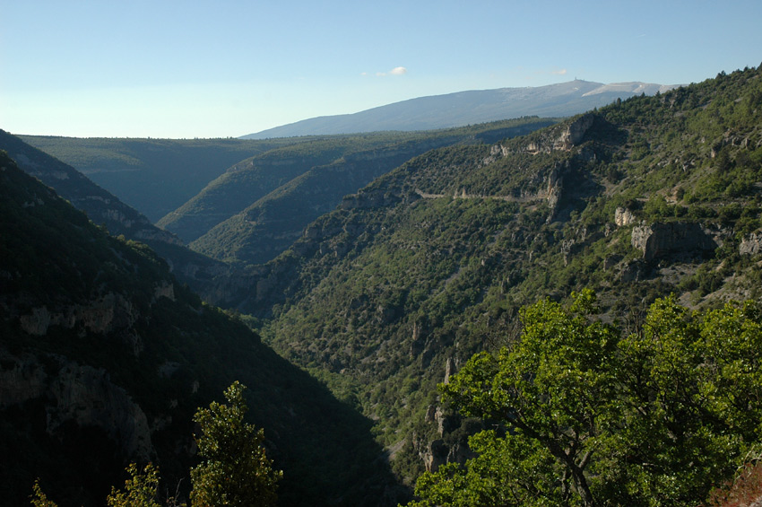 Gorges-de-la-Nesque