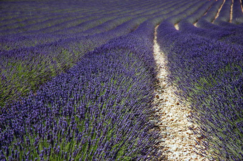 Provence