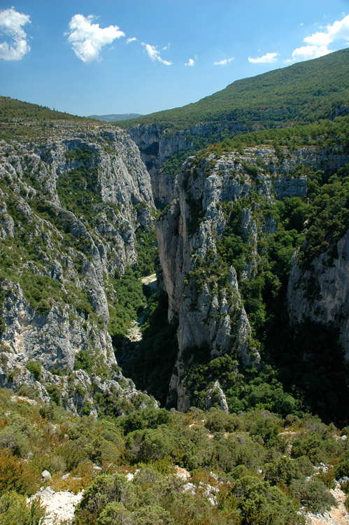 Kaon Verdon