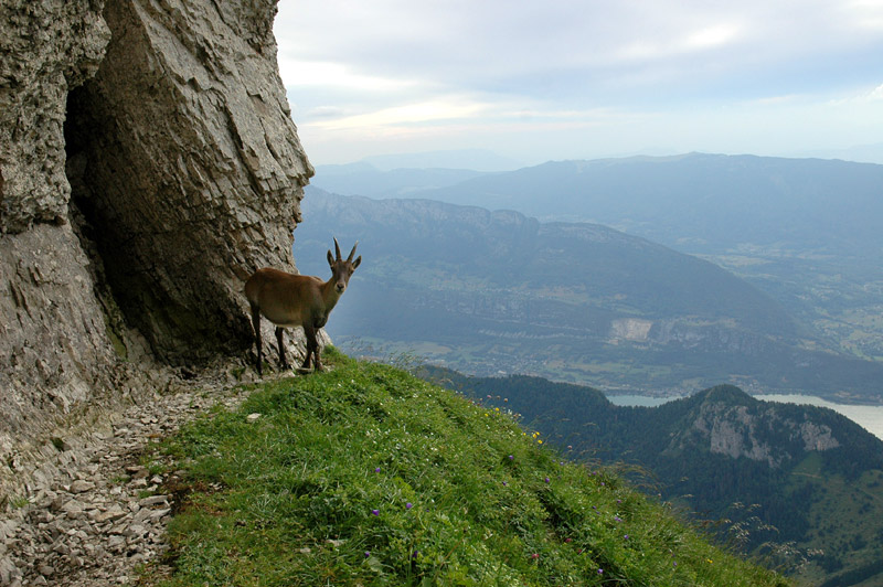 La Tournette