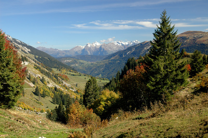 Aravis