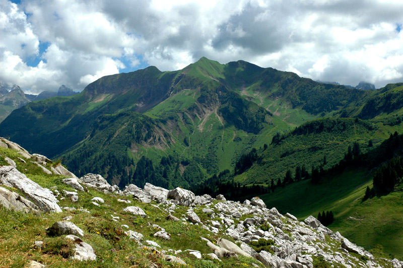 Aravis