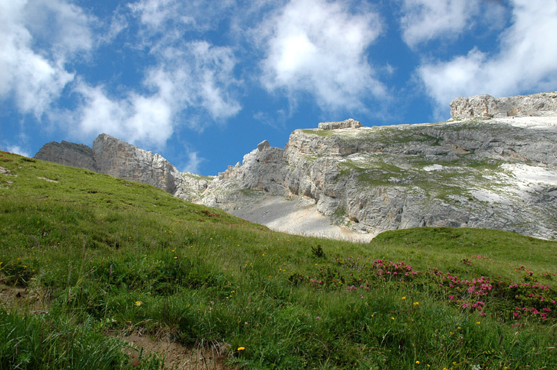 Aravis