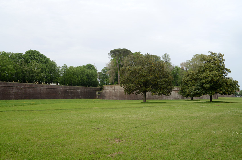 Lucca