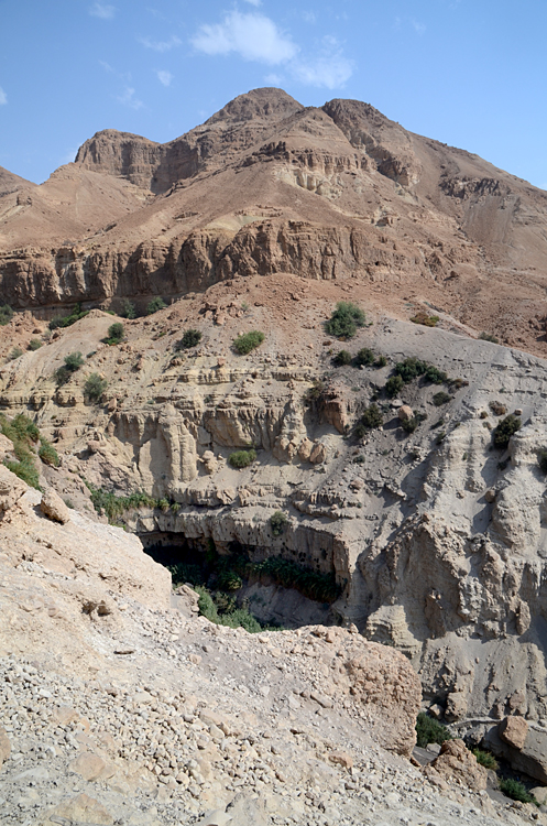En Gedi