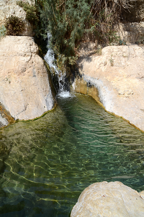 En Gedi