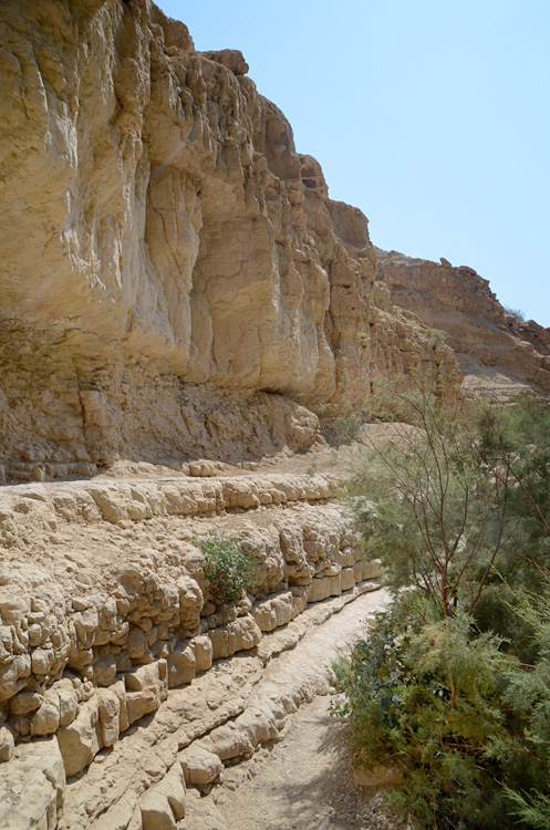 En Gedi