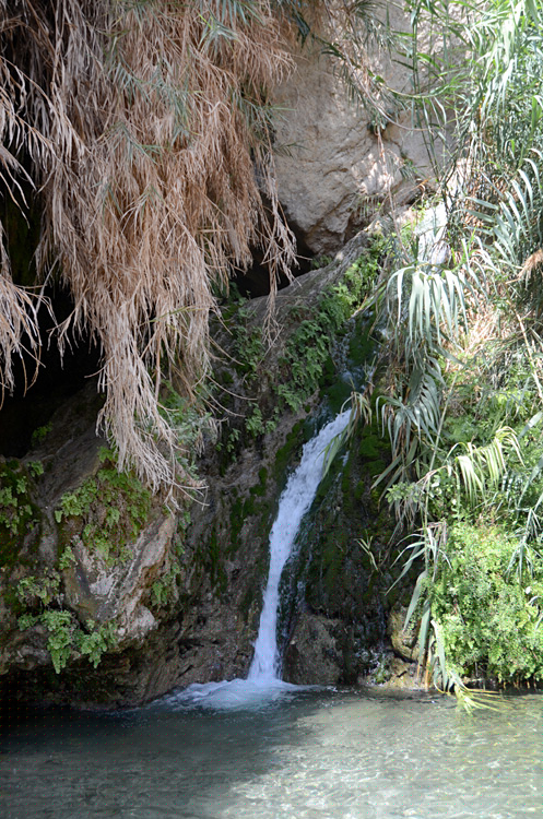 En Gedi