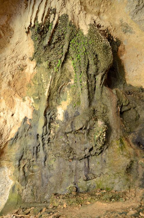 En Gedi