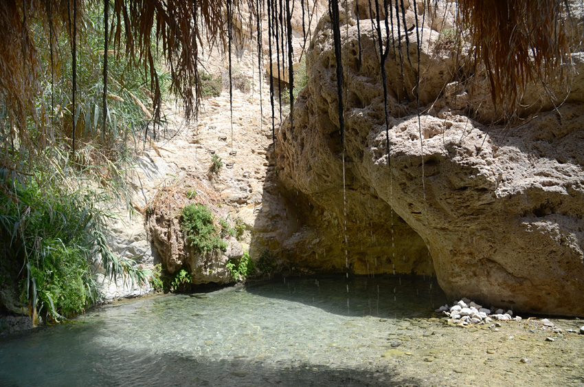 En Gedi