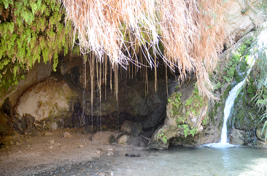 En Gedi