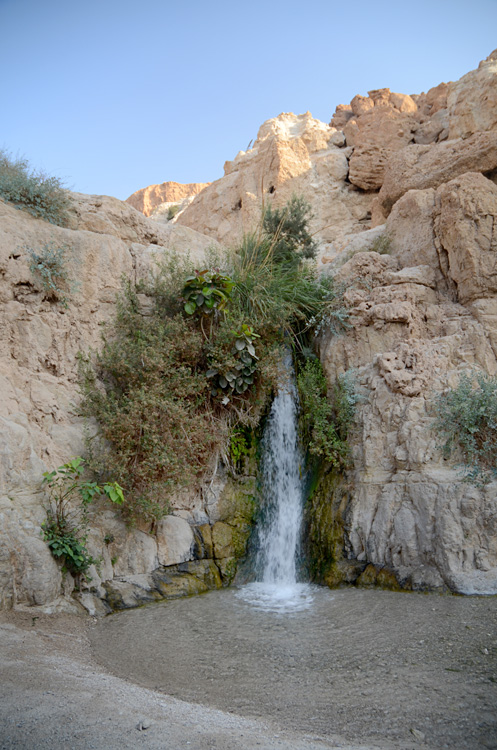 En Gedi