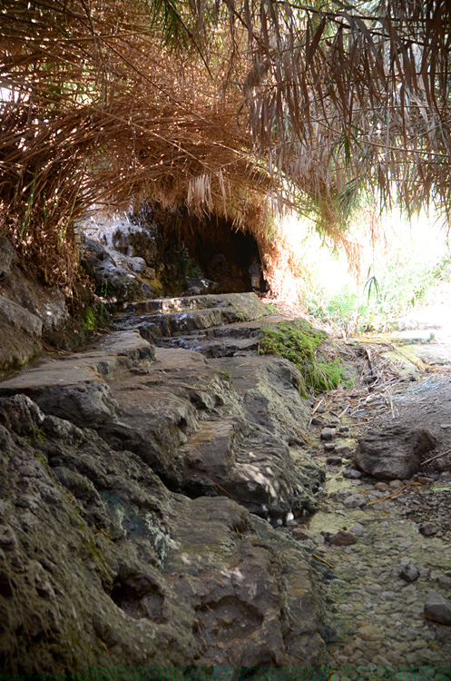 En Gedi