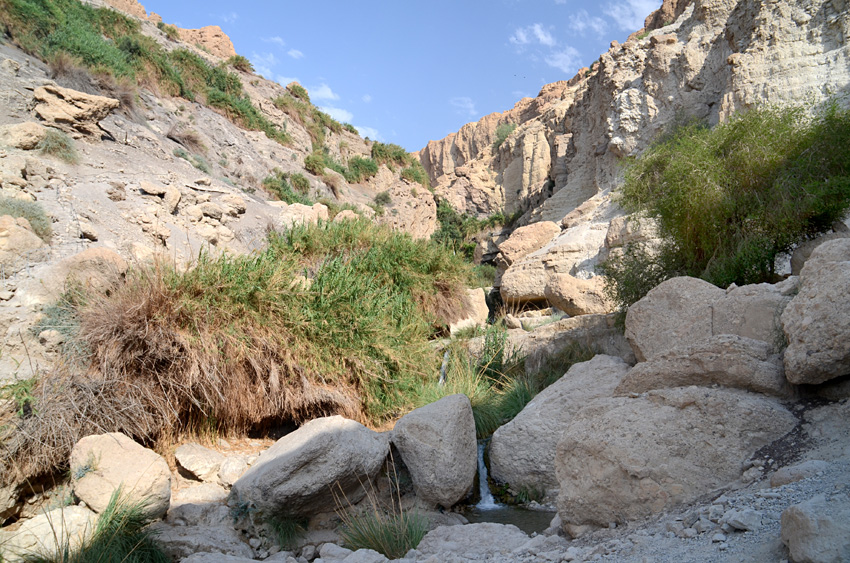 En Gedi