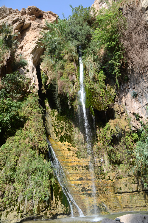 En Gedi