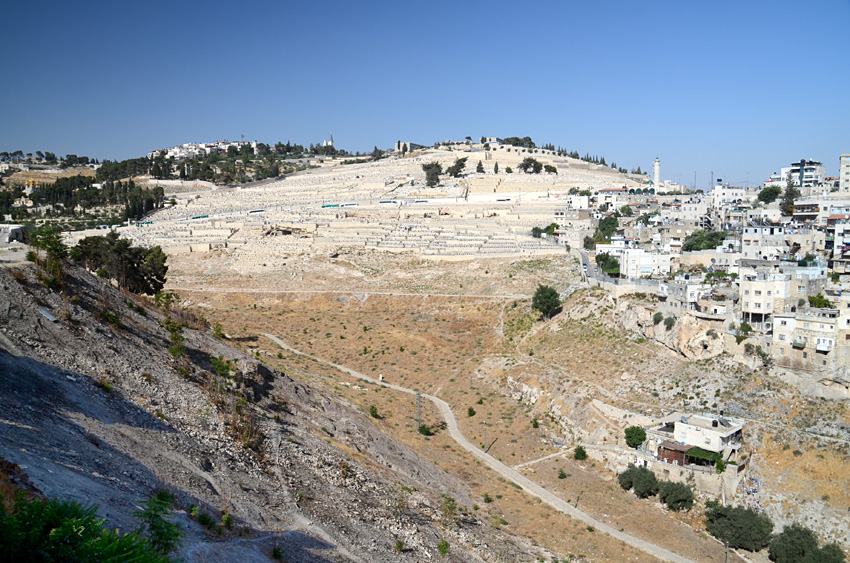 dol Kidron