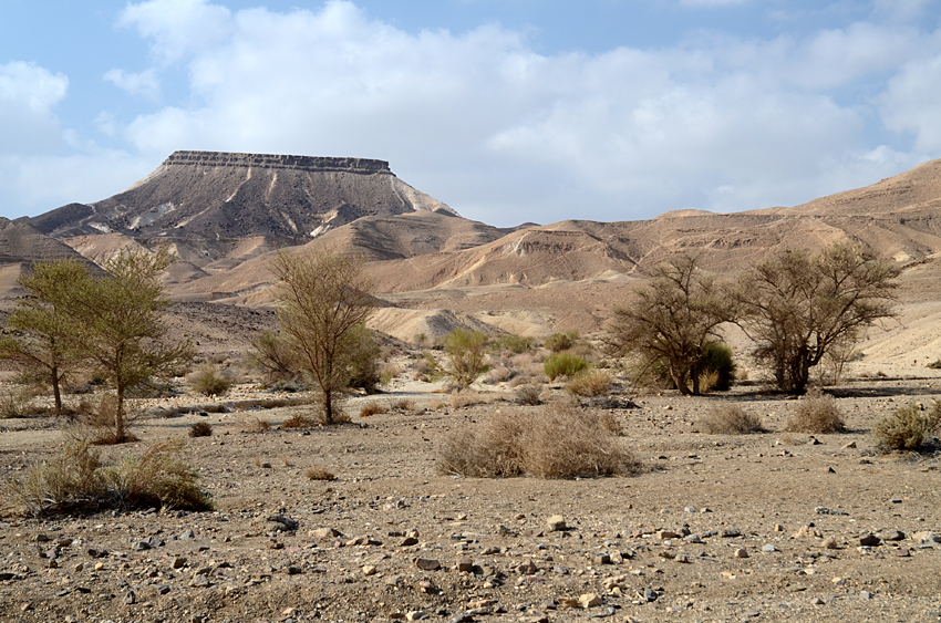 Makhtesh Ramon