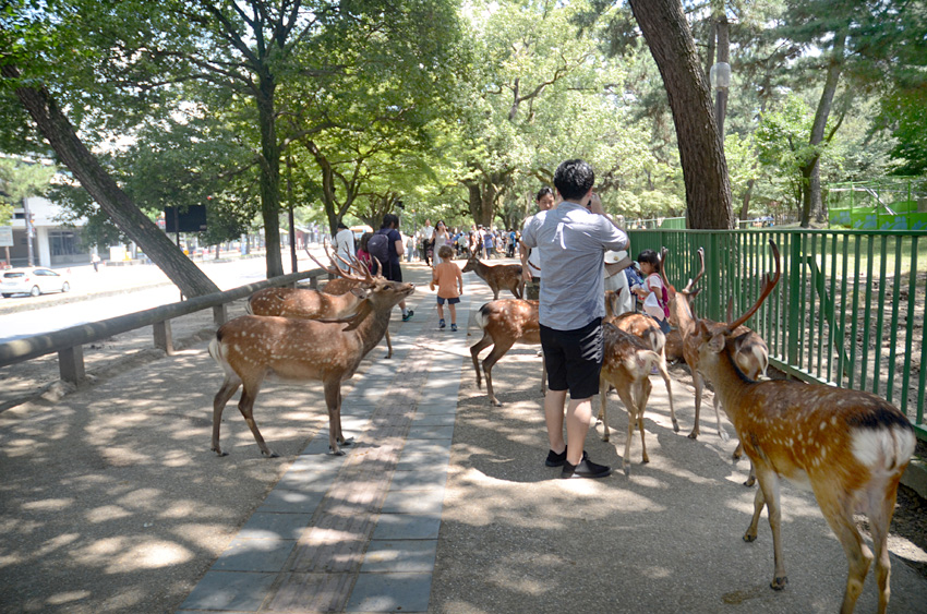 Nara