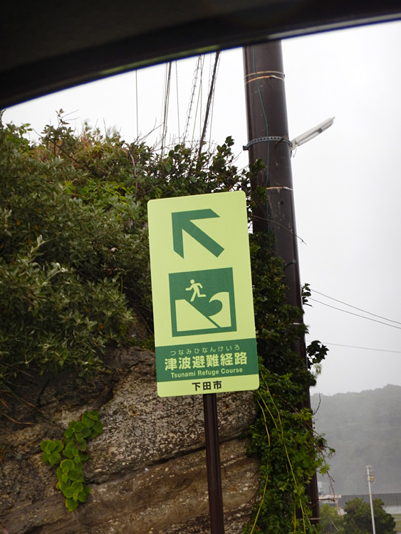 Tsunami